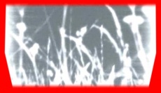 S5frame(317-357).jpg