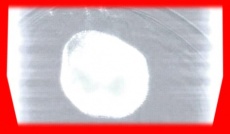 S5frame(241-242).jpg