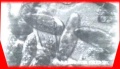 Thumbnail for version as of 01:32, 11 July 2007