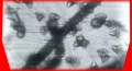 Thumbnail for version as of 23:40, 22 June 2007