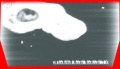 Thumbnail for version as of 01:36, 11 July 2007