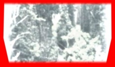 S5frame(536-538).jpg