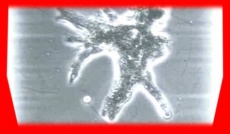 S5frame(215-217).jpg