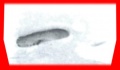 Thumbnail for version as of 04:53, 17 August 2007