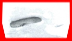 S5frame(530-535).jpg