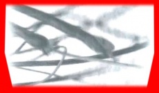 S5frame(974-975).jpg