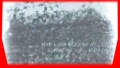 Thumbnail for version as of 01:44, 27 July 2007