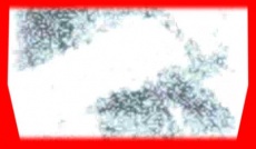 S5frame(449-451).jpg