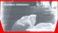 Thumbnail for version as of 01:35, 11 July 2007