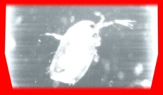 S5frame(1058-1061).jpg