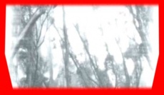 S5frame(904-933).jpg