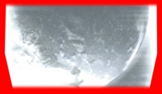 S5frame(779-816).jpg
