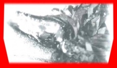 S5frame(934-935).jpg