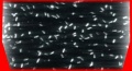 Thumbnail for version as of 23:41, 22 June 2007
