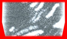 S5frame(720-729).jpg