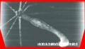 Thumbnail for version as of 01:35, 11 July 2007