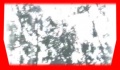 Thumbnail for version as of 04:52, 17 August 2007