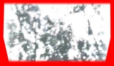 S5frame(435-448).jpg